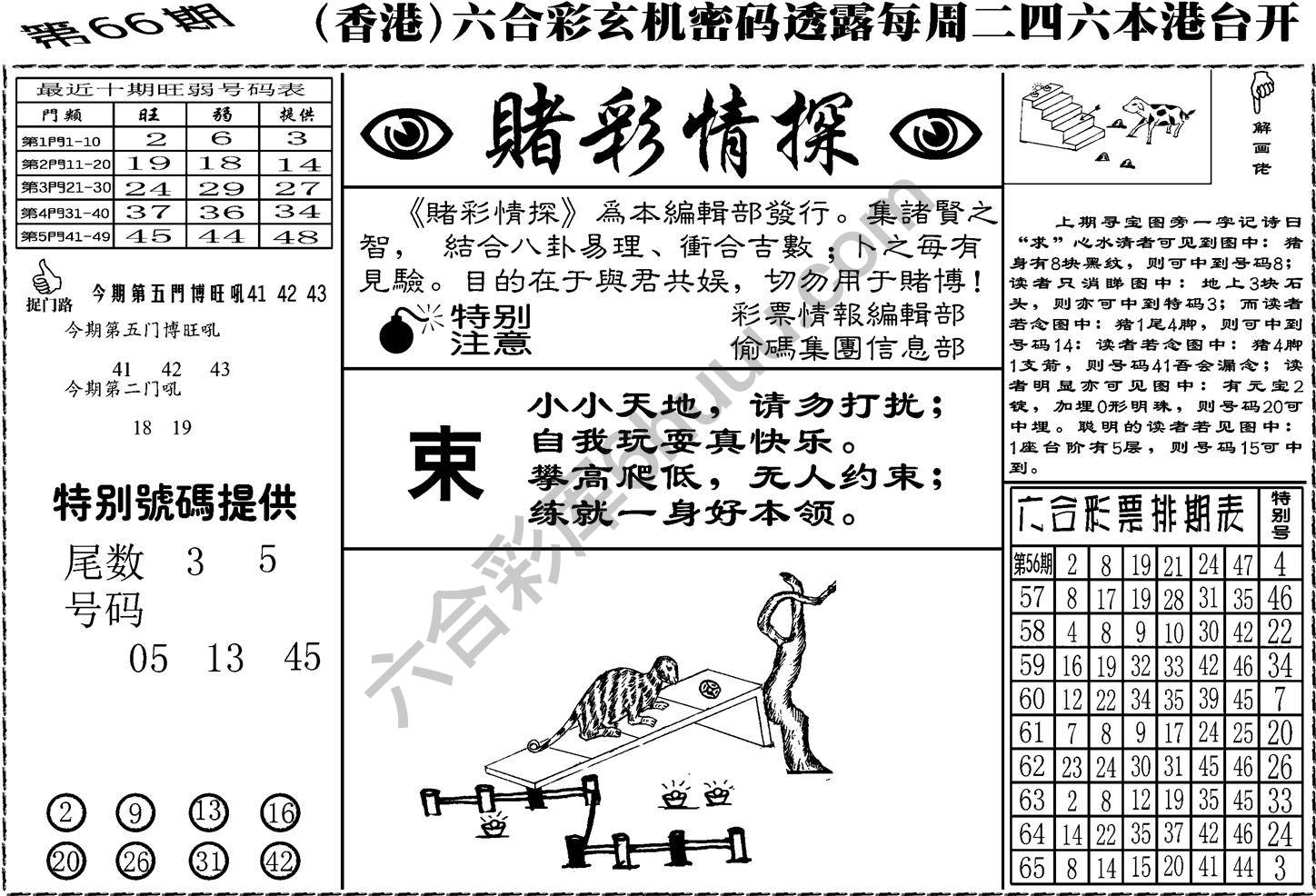 赌彩情探