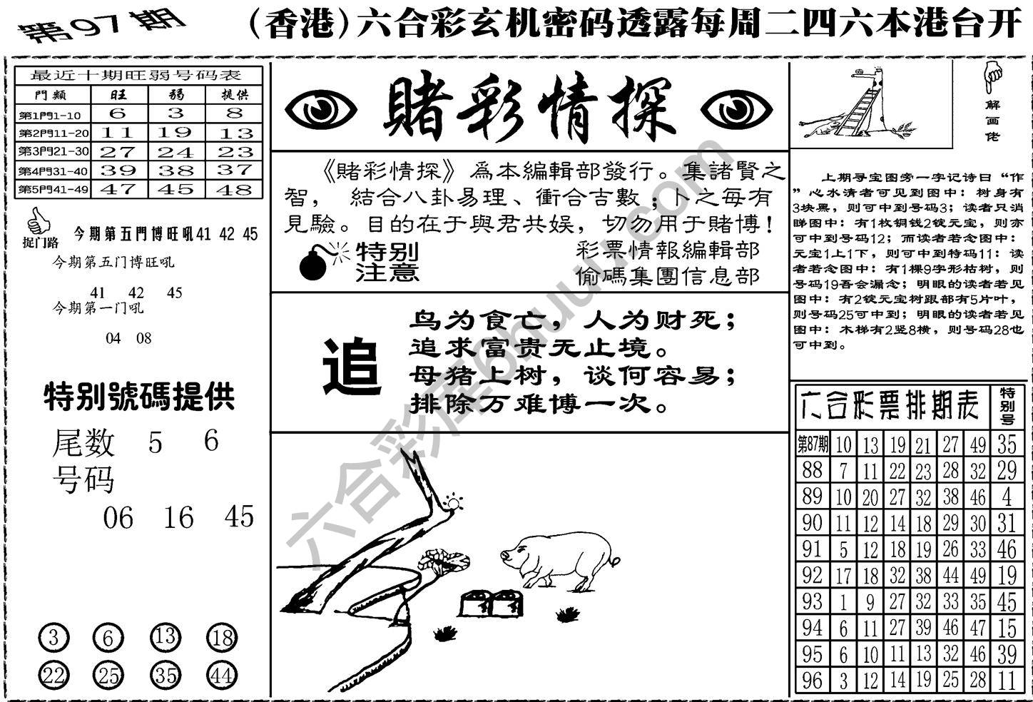 赌彩情探