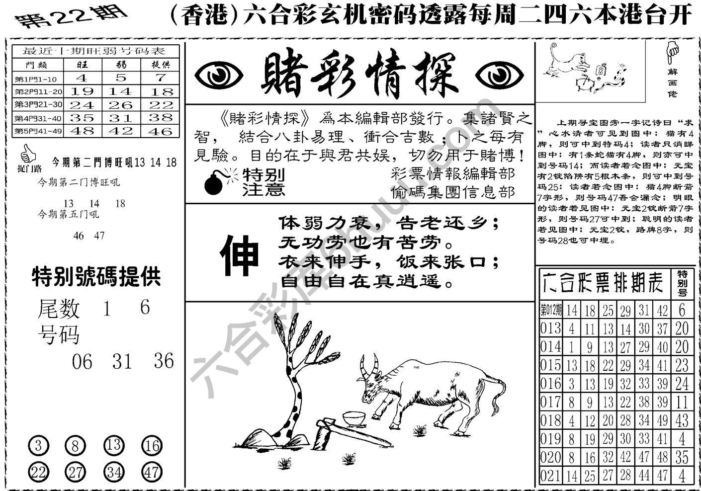 赌彩情探