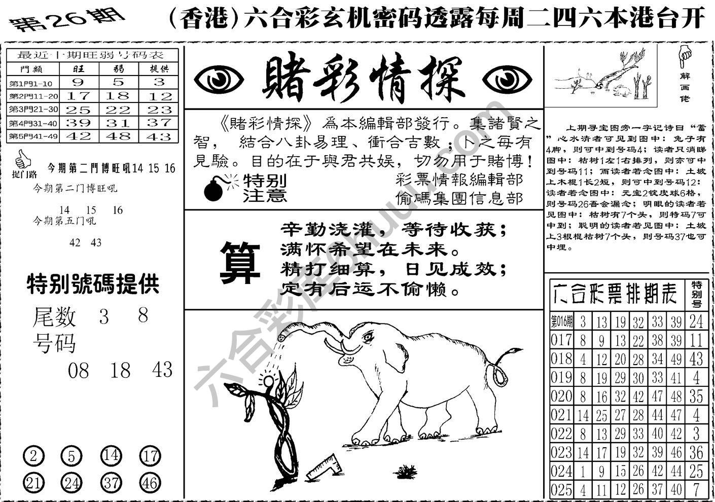 赌彩情探