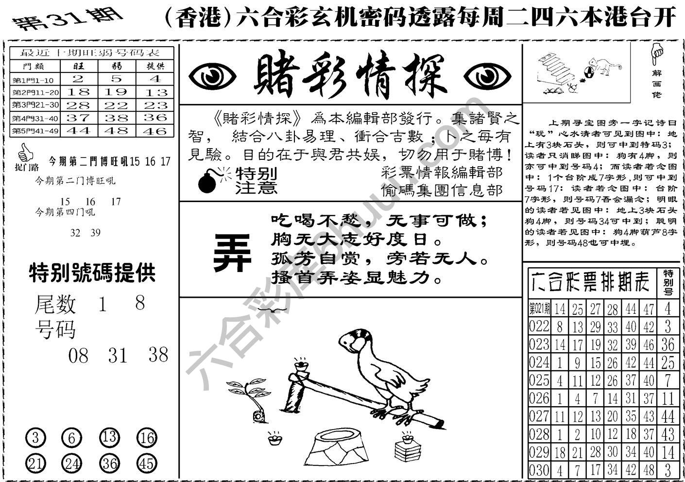 赌彩情探