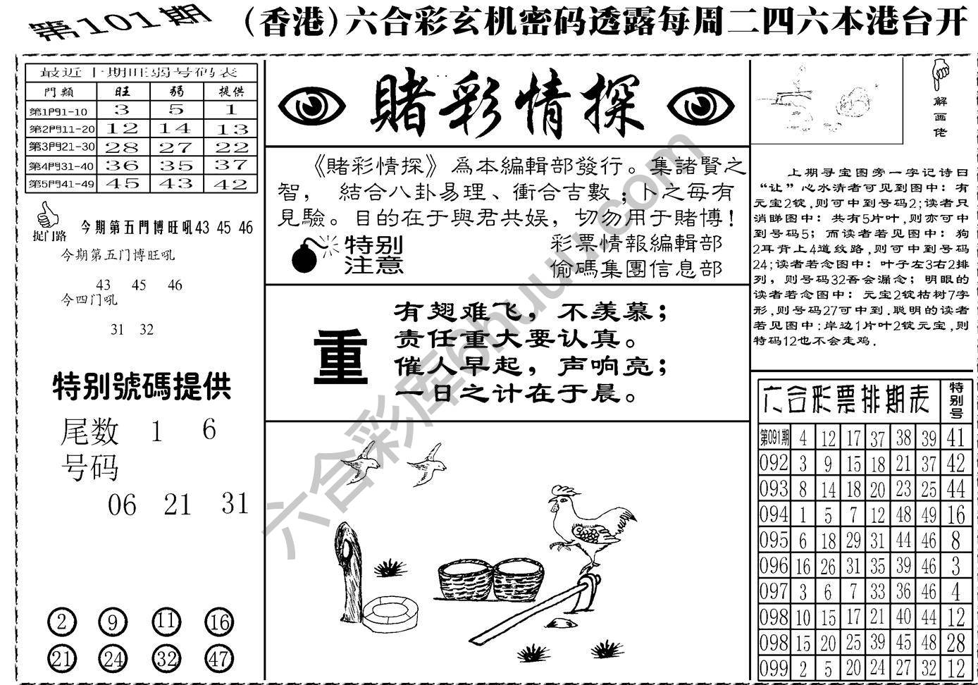 赌彩情探