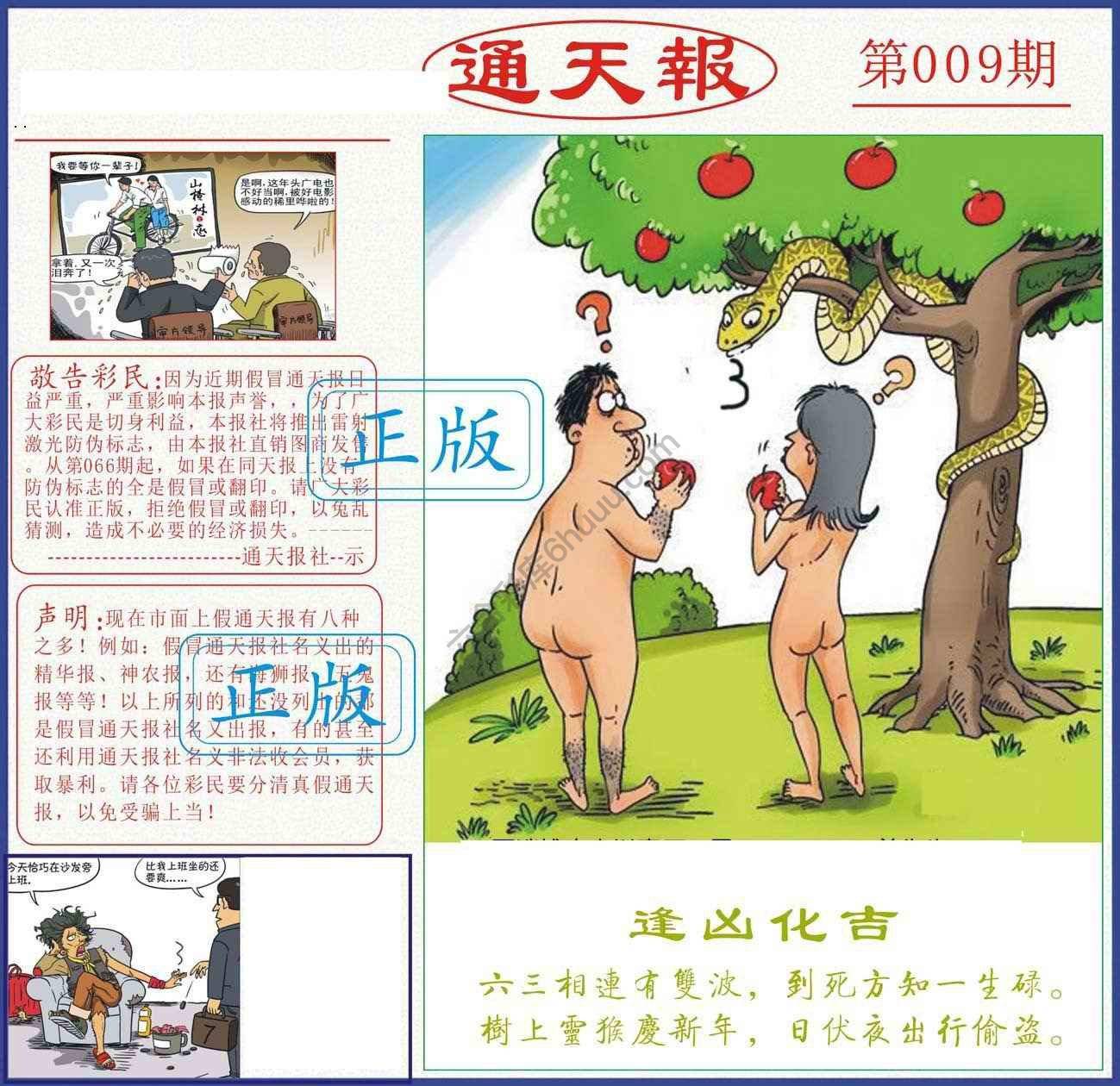 正版通天报