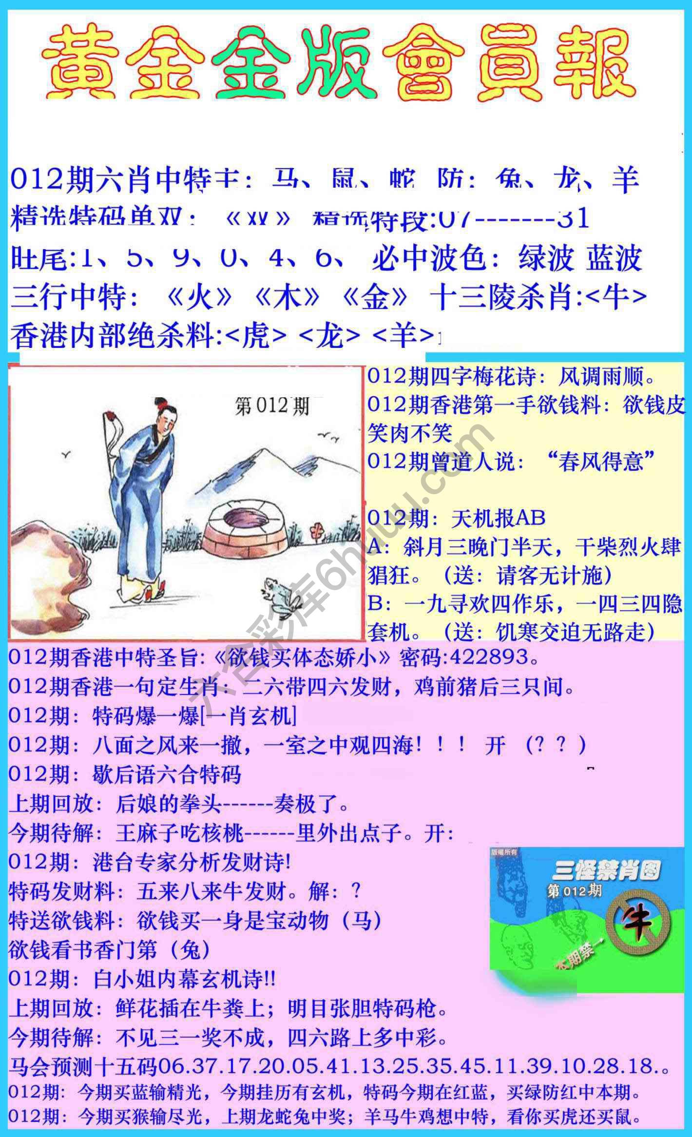 黄金金版会员报