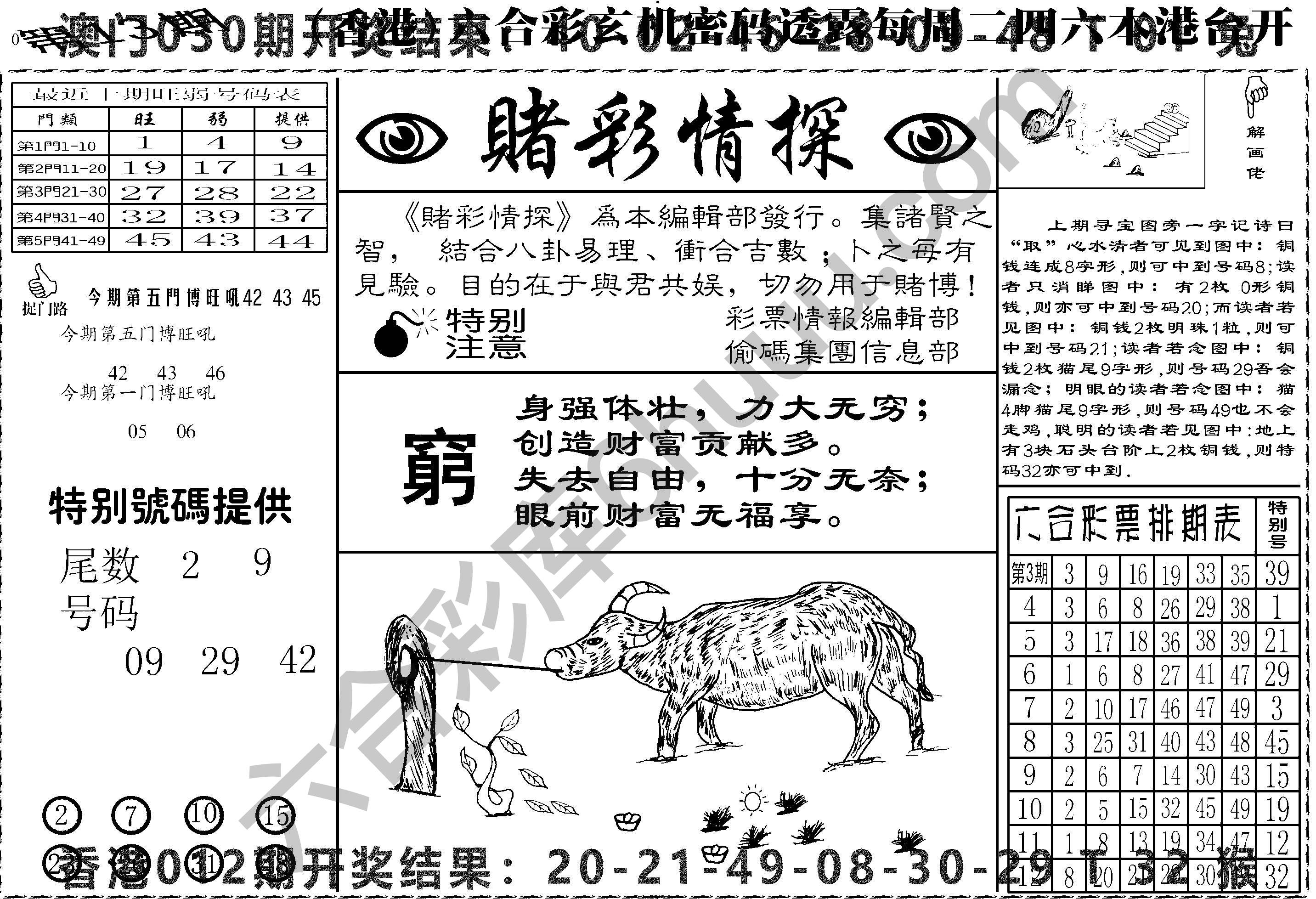 赌彩情探