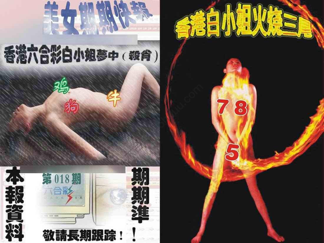 环球美女特码报