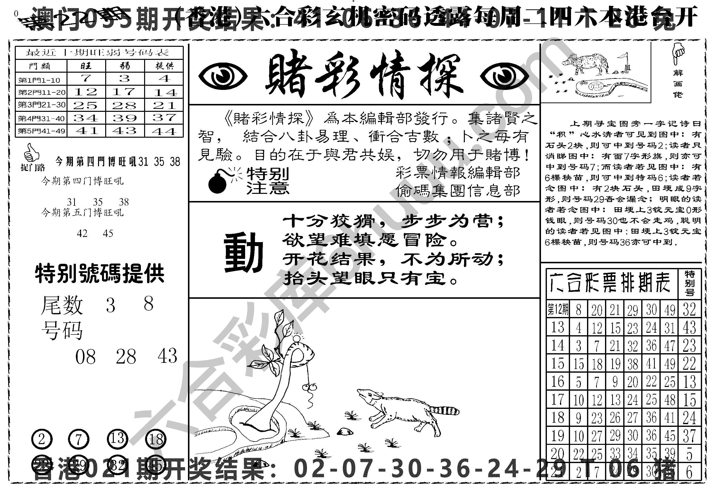 赌彩情探