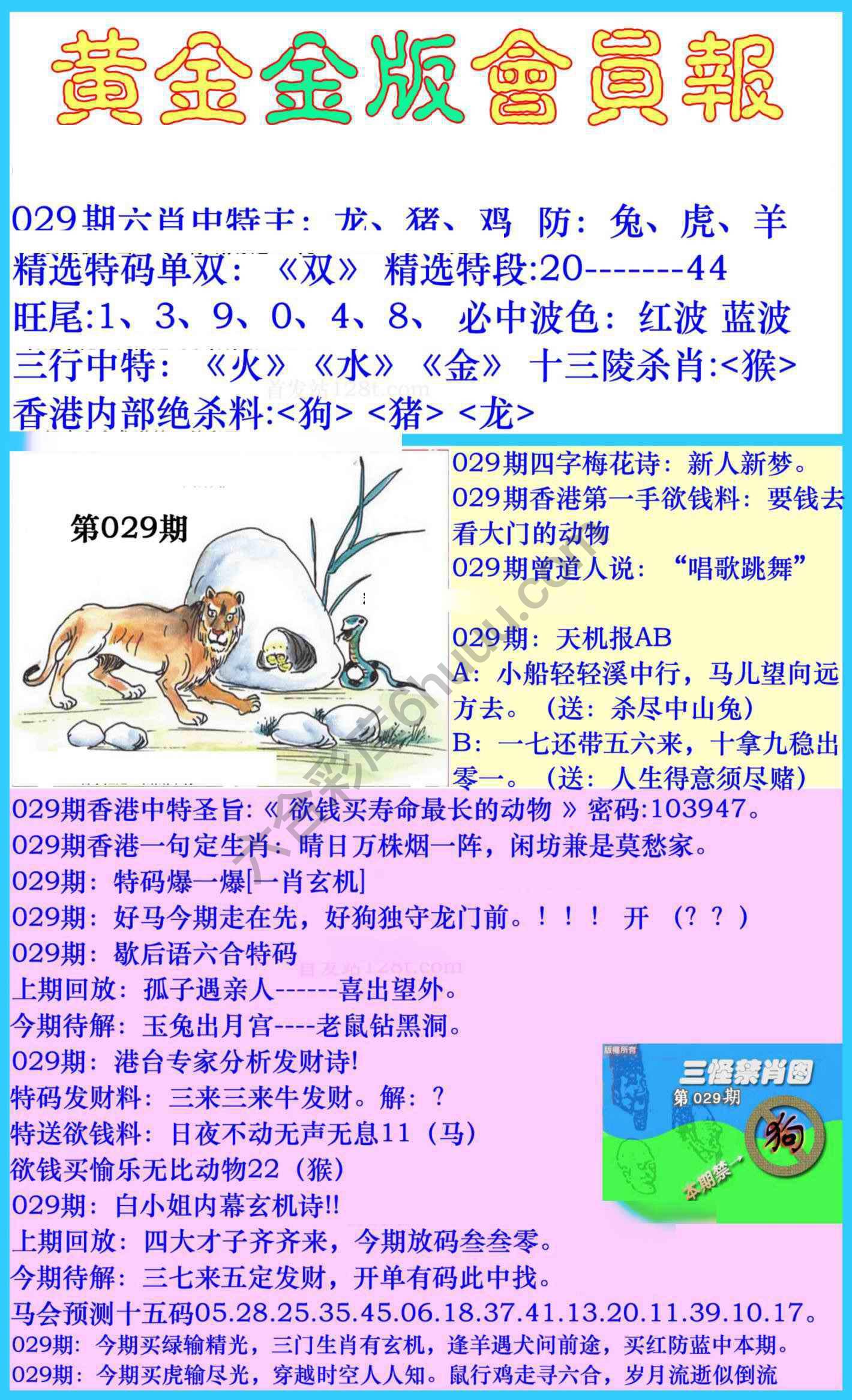 黄金金版会员报