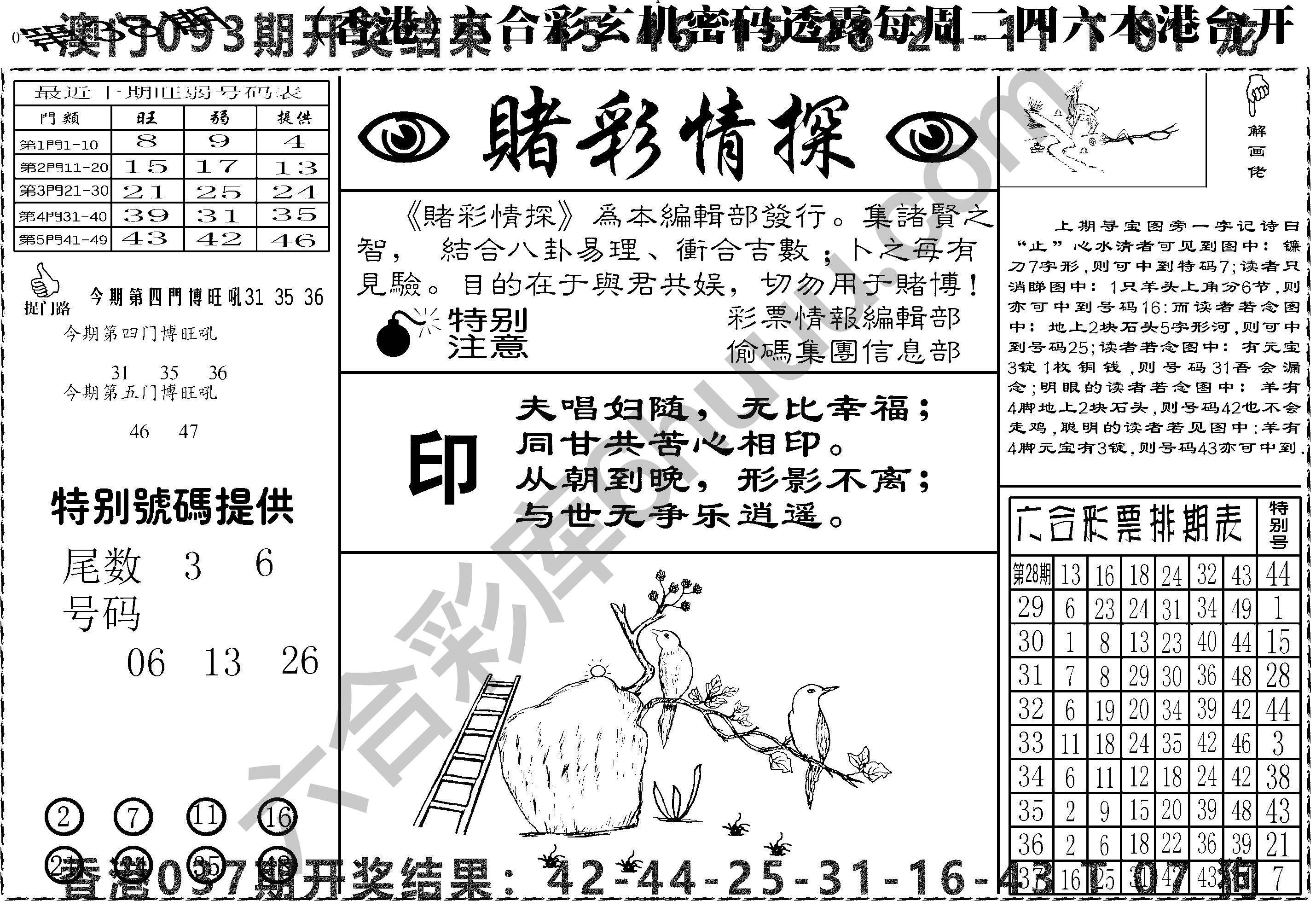 赌彩情探