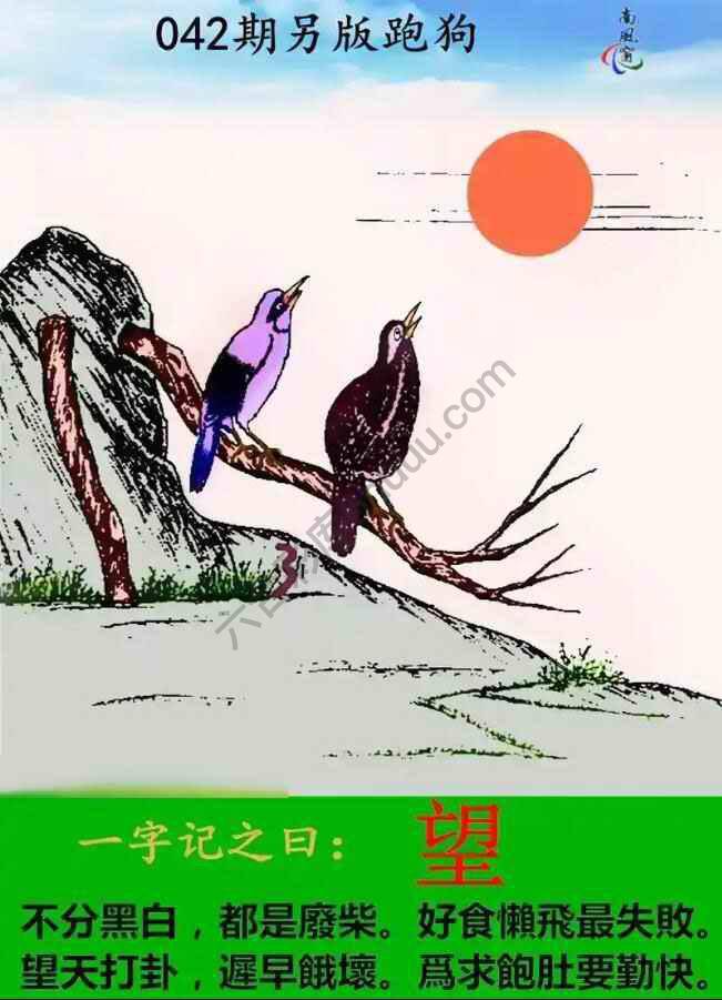 另版跑狗