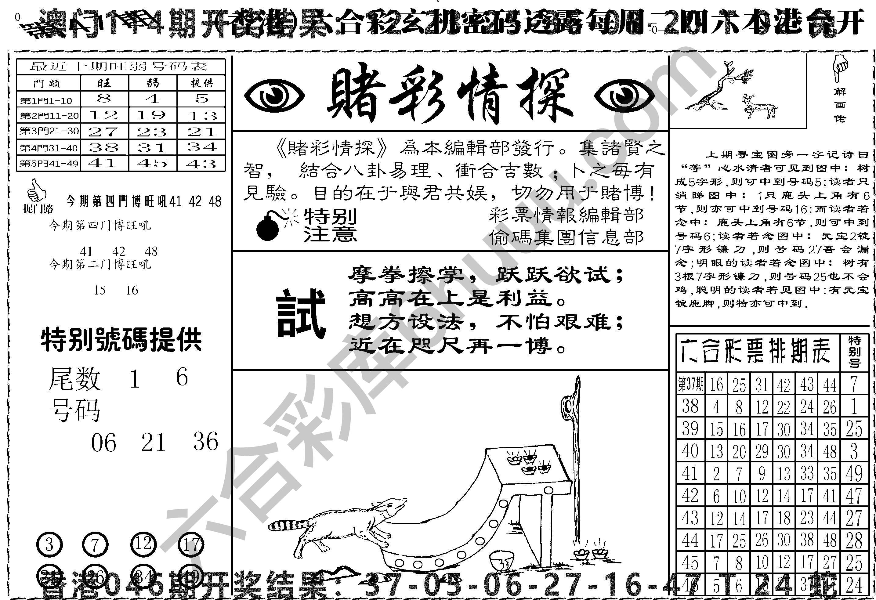 赌彩情探