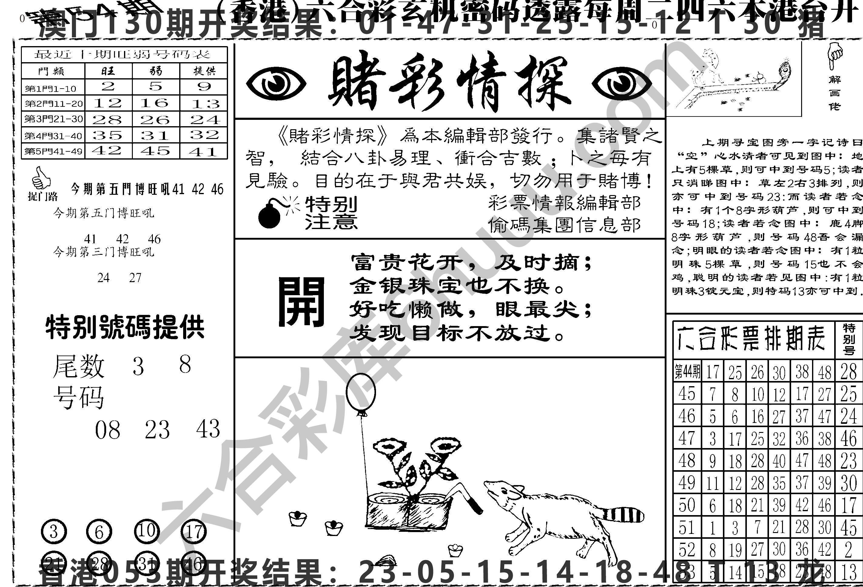 赌彩情探