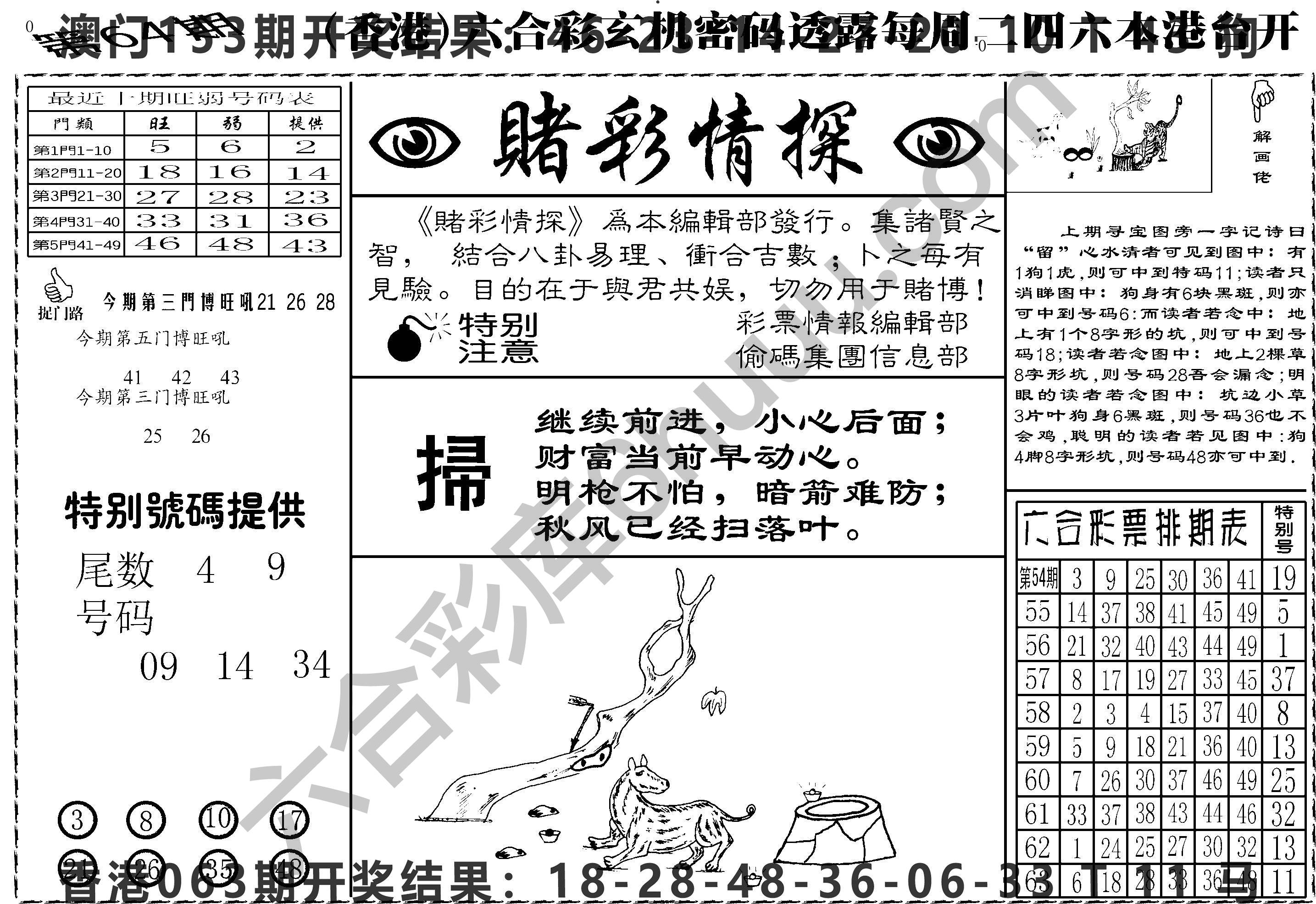 赌彩情探