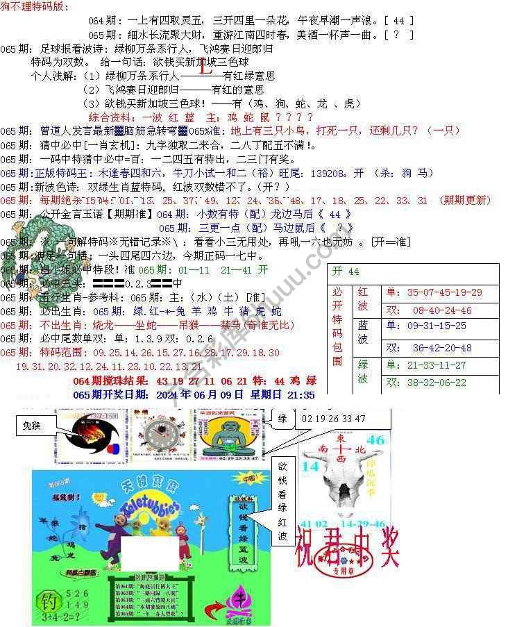 青龙五鬼报