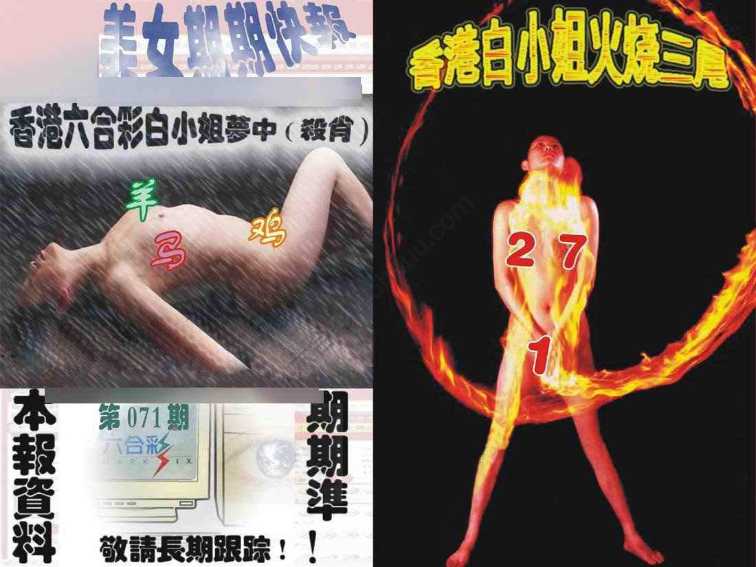 环球美女特码报