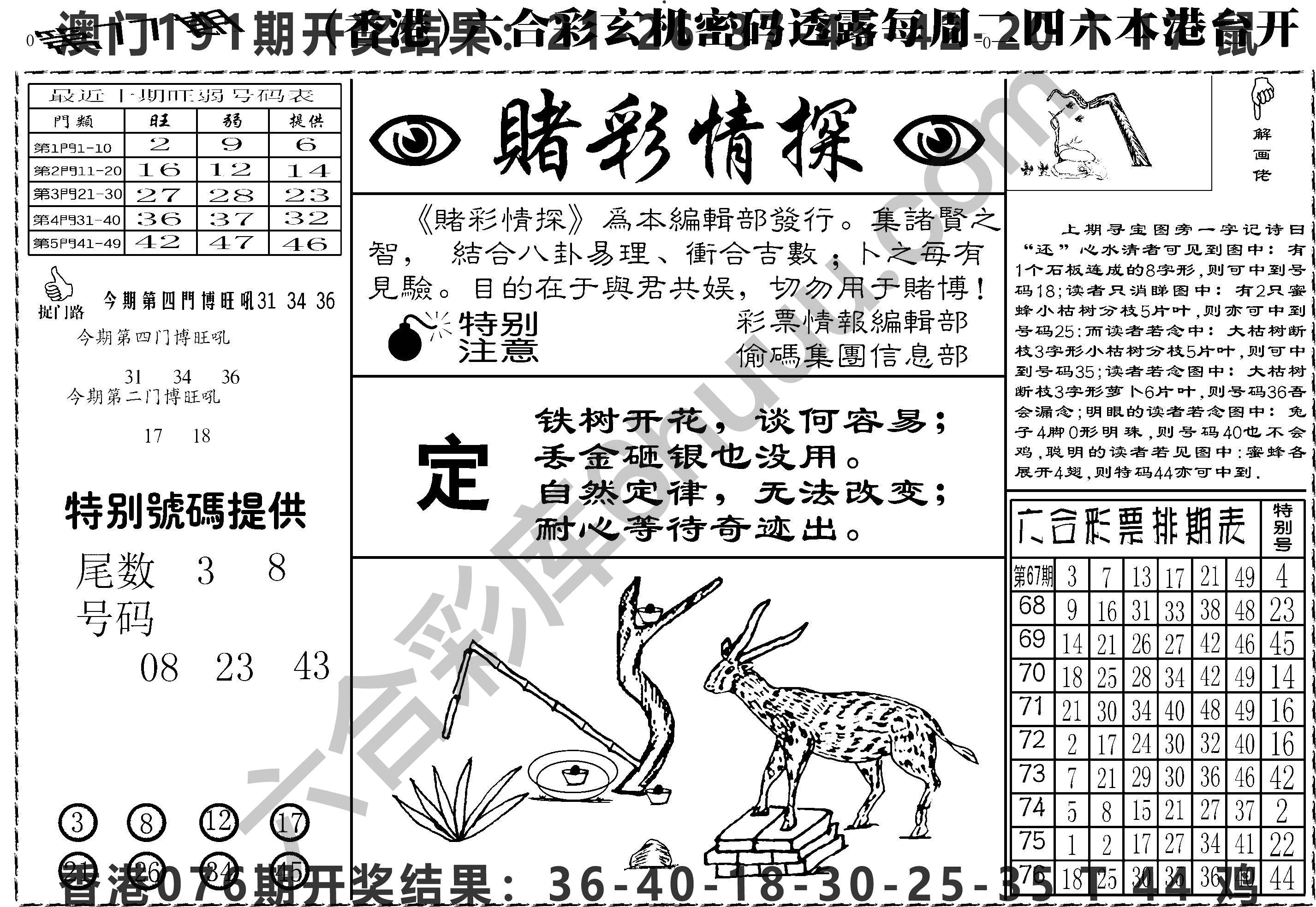 赌彩情探