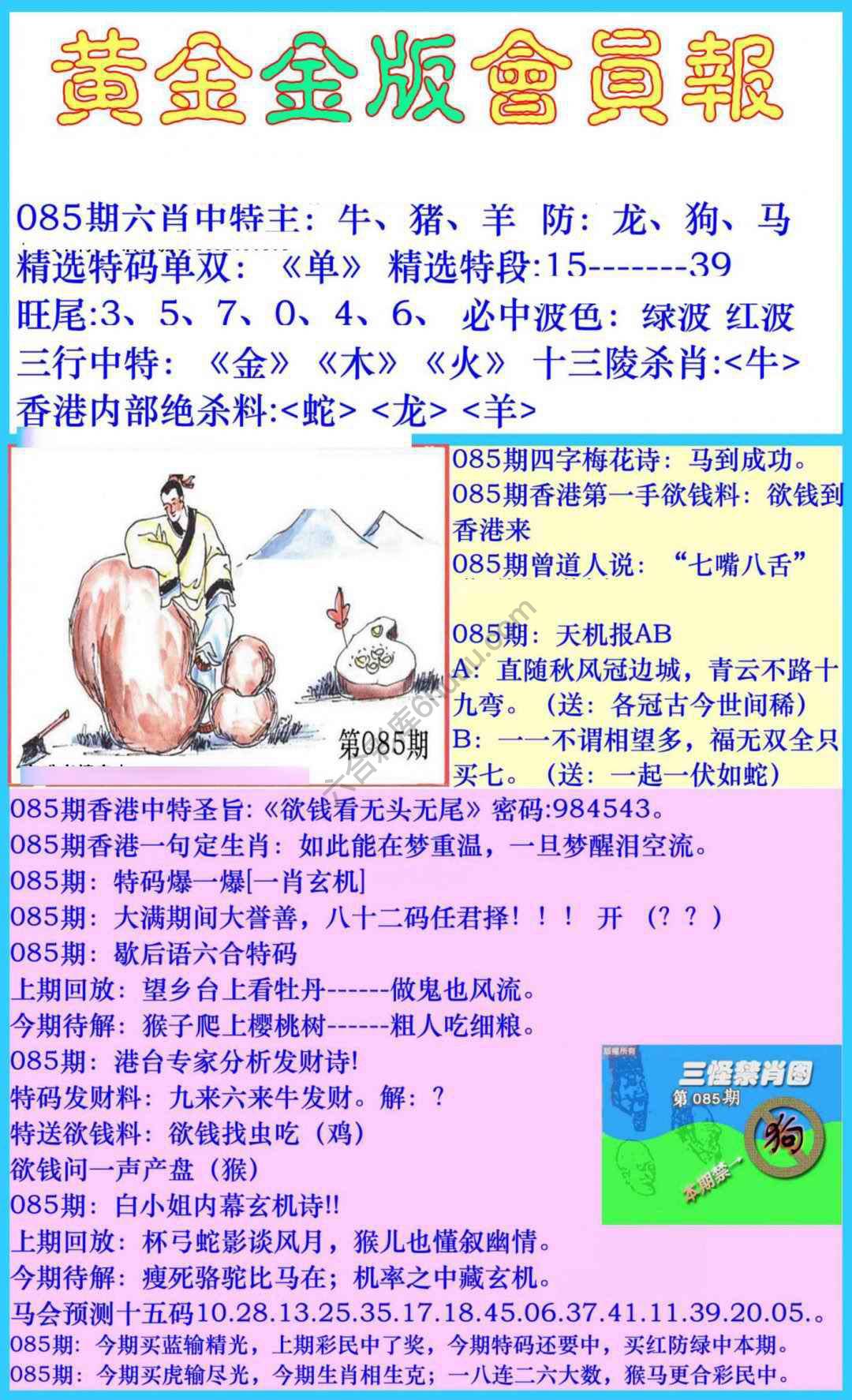 黄金金版会员报