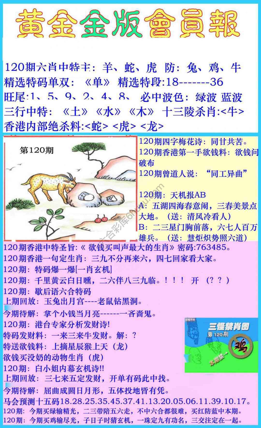 黄金金版会员报