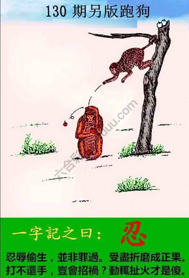 另版跑狗