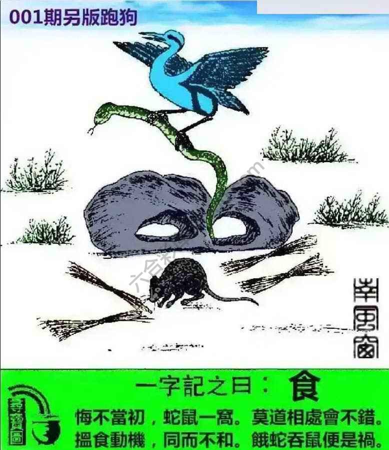 另版跑狗