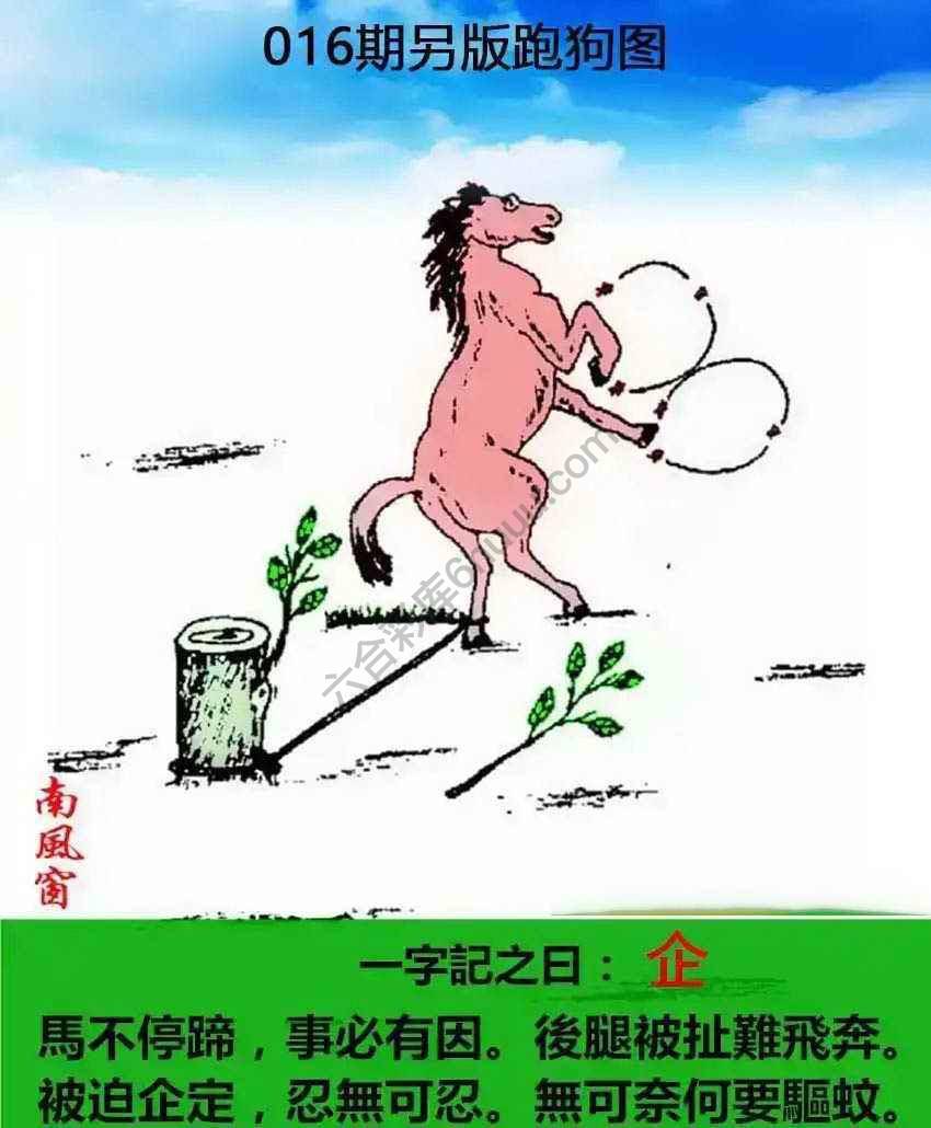 另版跑狗