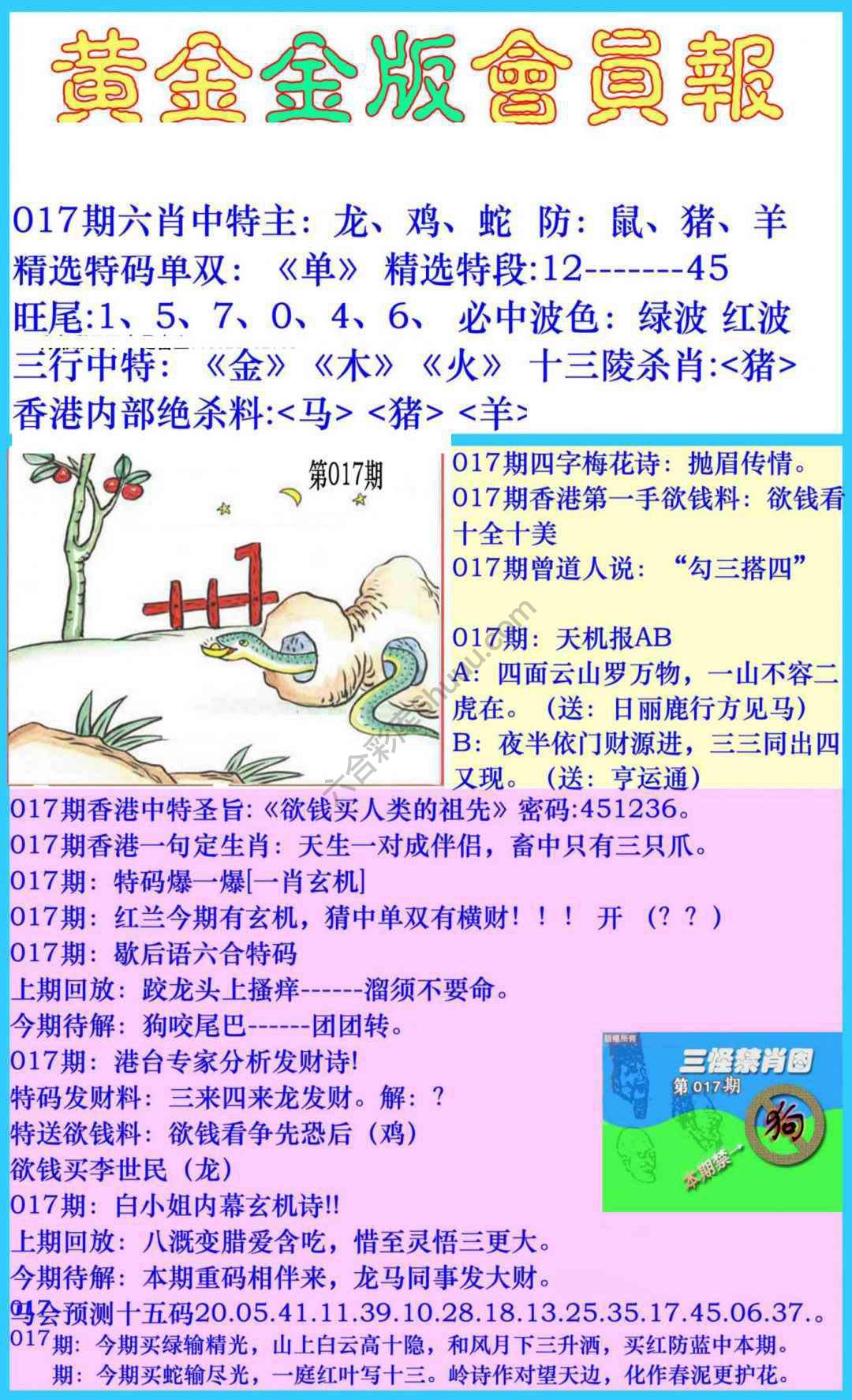 黄金金版会员报