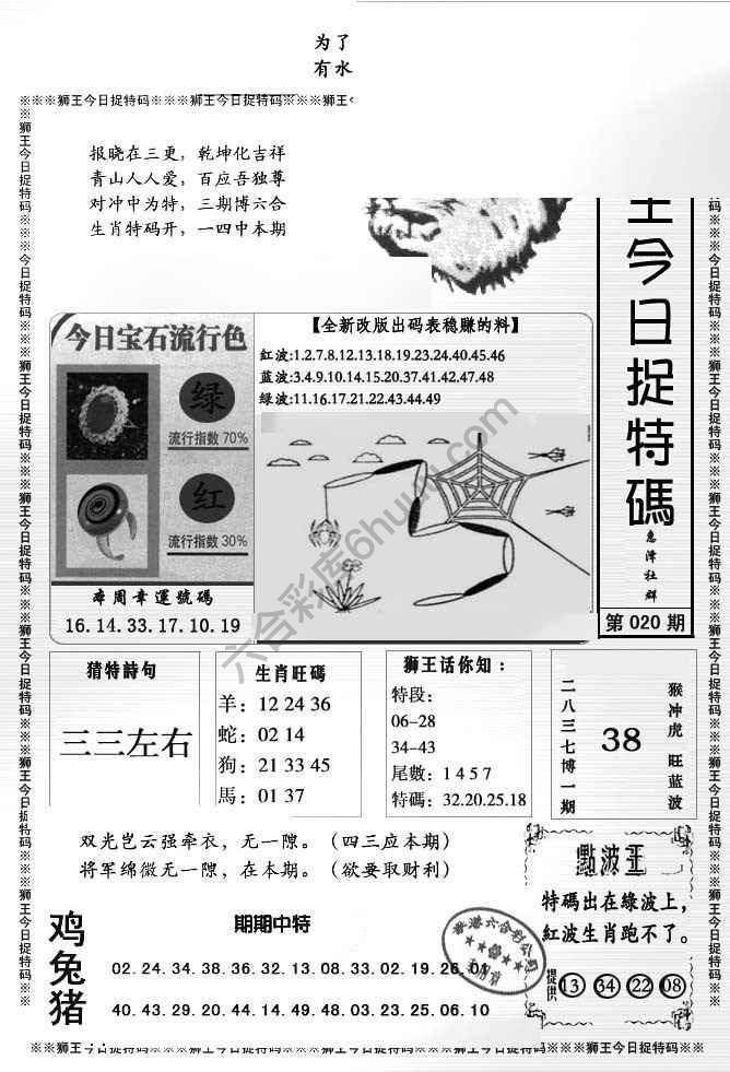 狮王今日抓特码