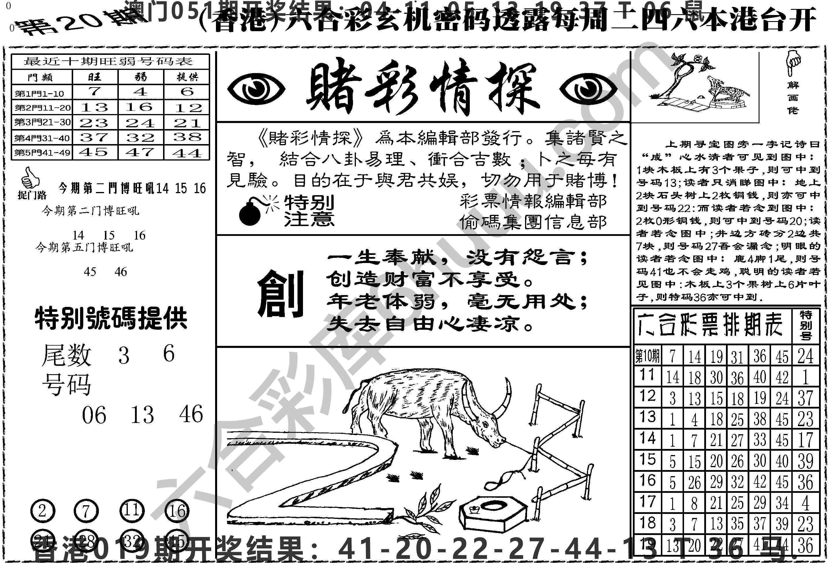 赌彩情探